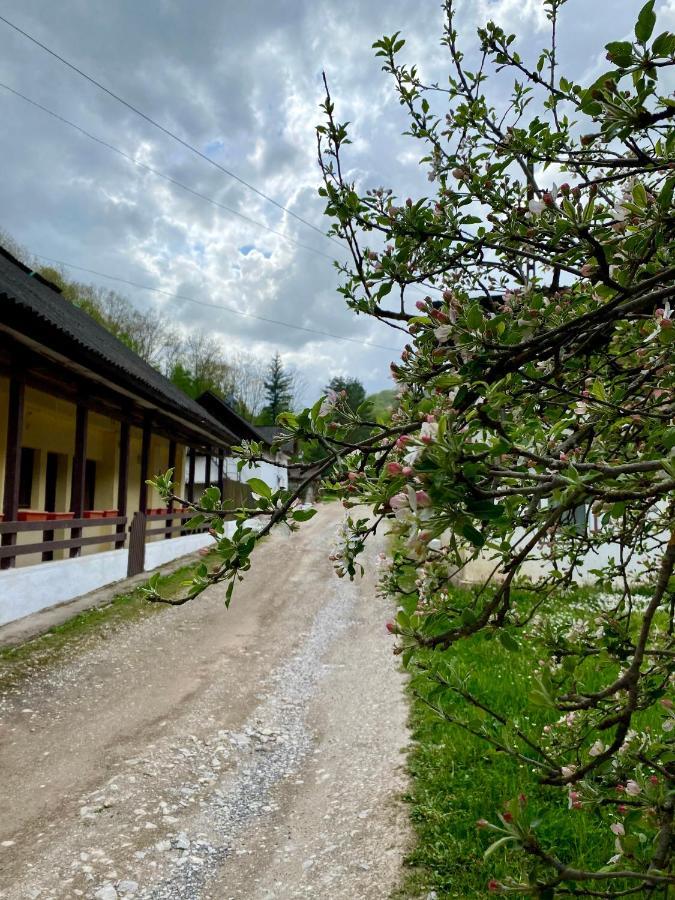 House In The Woods Bed & Breakfast Решица Екстериор снимка
