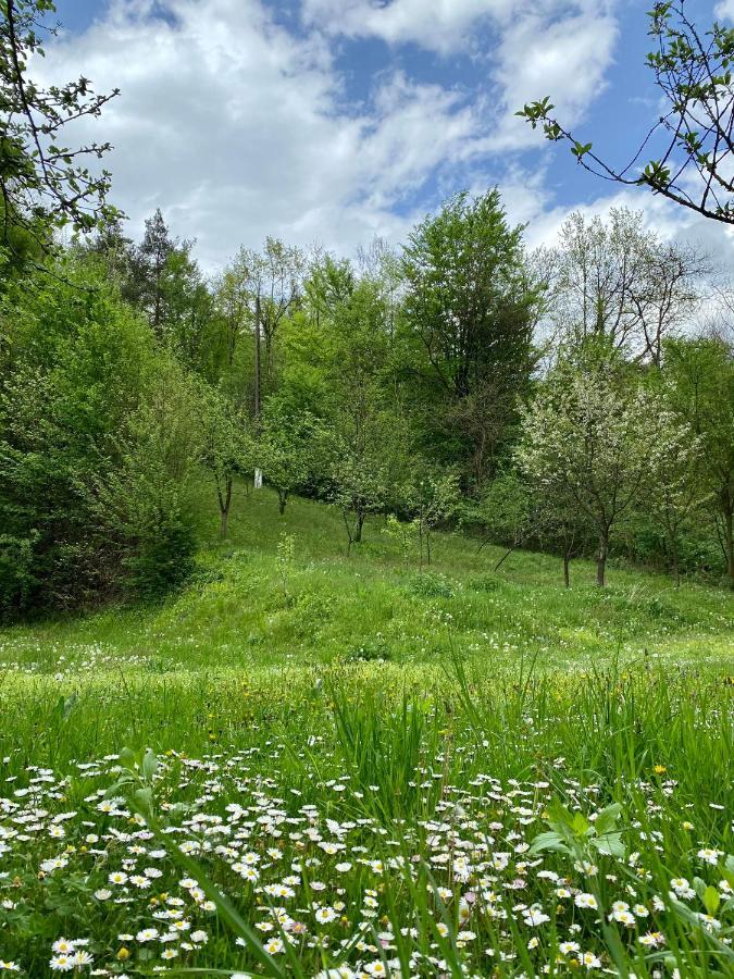 House In The Woods Bed & Breakfast Решица Екстериор снимка