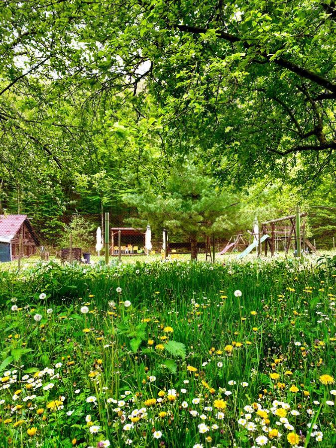 House In The Woods Bed & Breakfast Решица Екстериор снимка