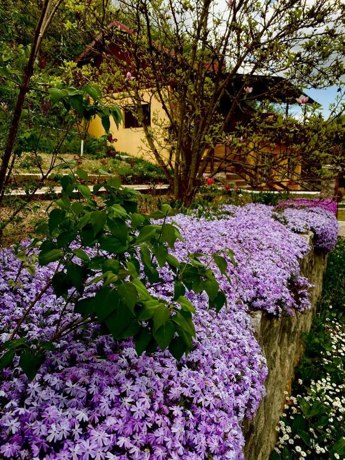House In The Woods Bed & Breakfast Решица Екстериор снимка