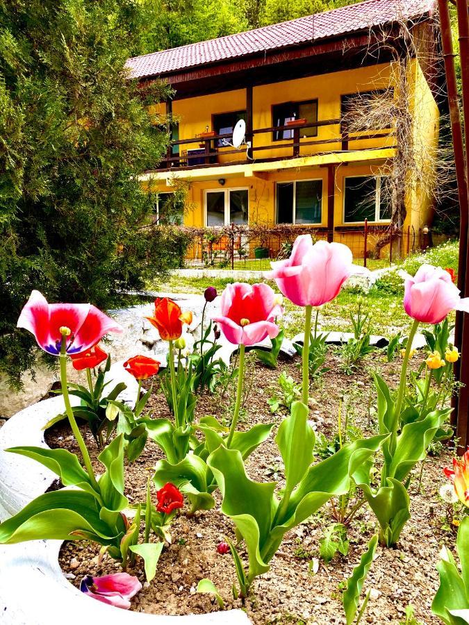 House In The Woods Bed & Breakfast Решица Екстериор снимка