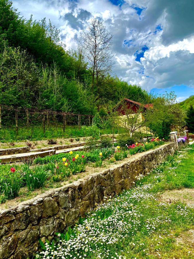 House In The Woods Bed & Breakfast Решица Екстериор снимка