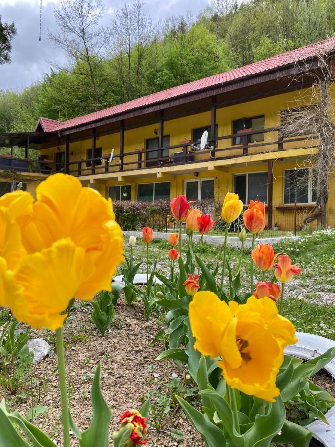 House In The Woods Bed & Breakfast Решица Екстериор снимка