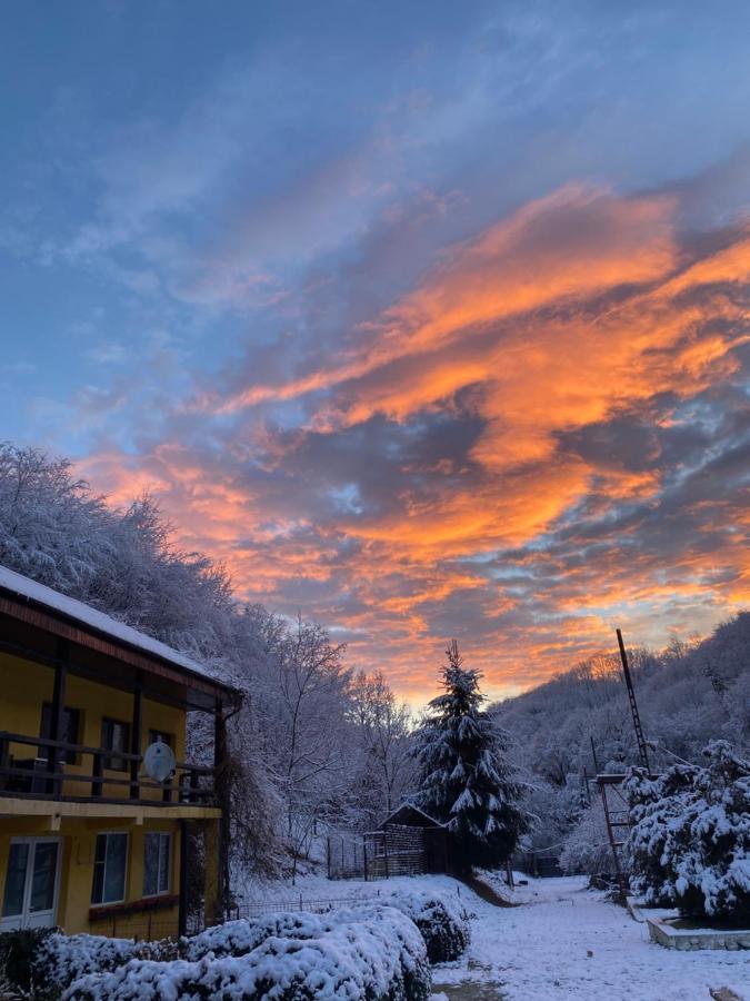 House In The Woods Bed & Breakfast Решица Екстериор снимка