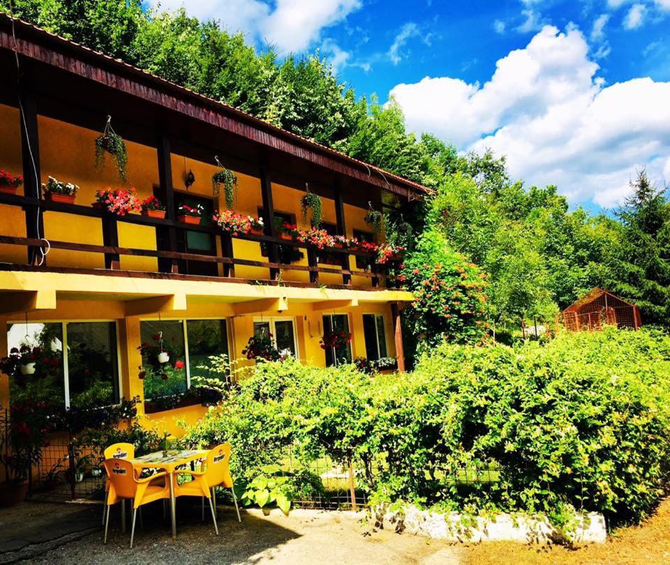 House In The Woods Bed & Breakfast Решица Екстериор снимка