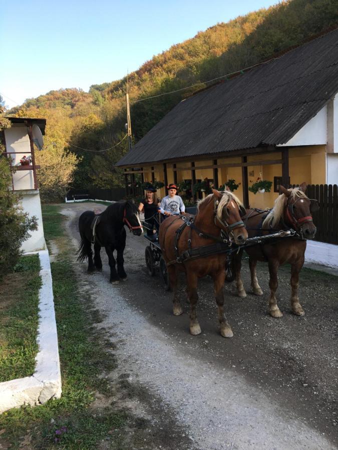 House In The Woods Bed & Breakfast Решица Екстериор снимка