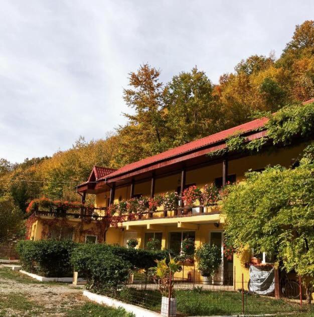 House In The Woods Bed & Breakfast Решица Екстериор снимка