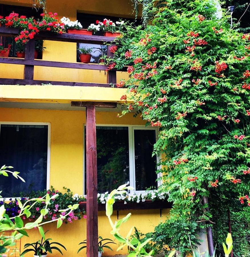 House In The Woods Bed & Breakfast Решица Екстериор снимка
