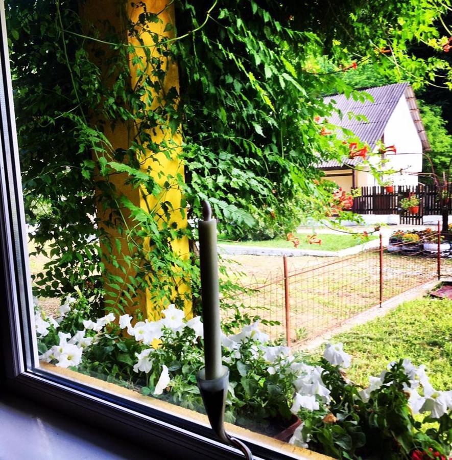 House In The Woods Bed & Breakfast Решица Екстериор снимка