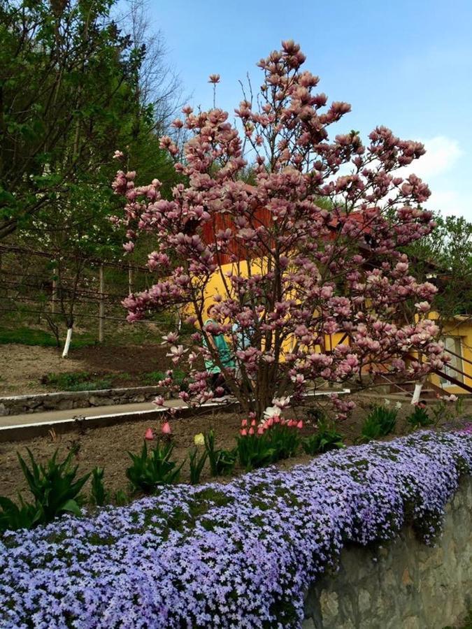 House In The Woods Bed & Breakfast Решица Екстериор снимка