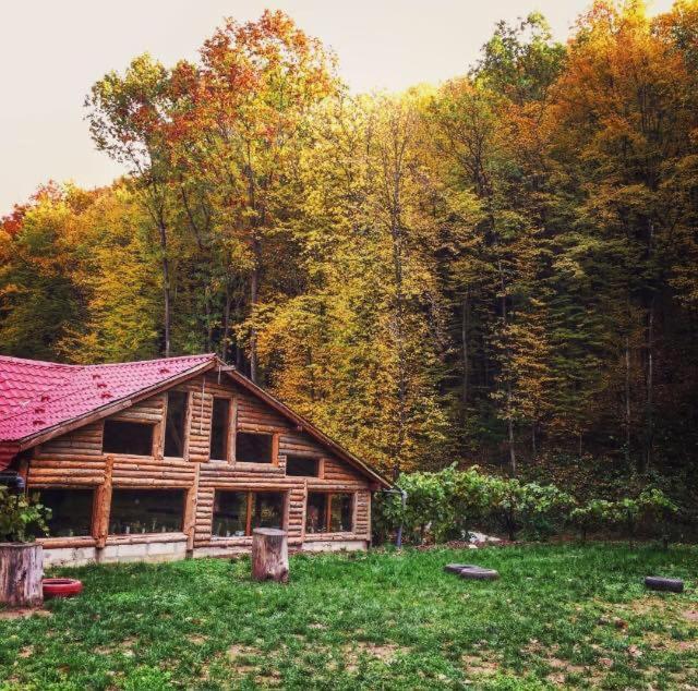 House In The Woods Bed & Breakfast Решица Екстериор снимка