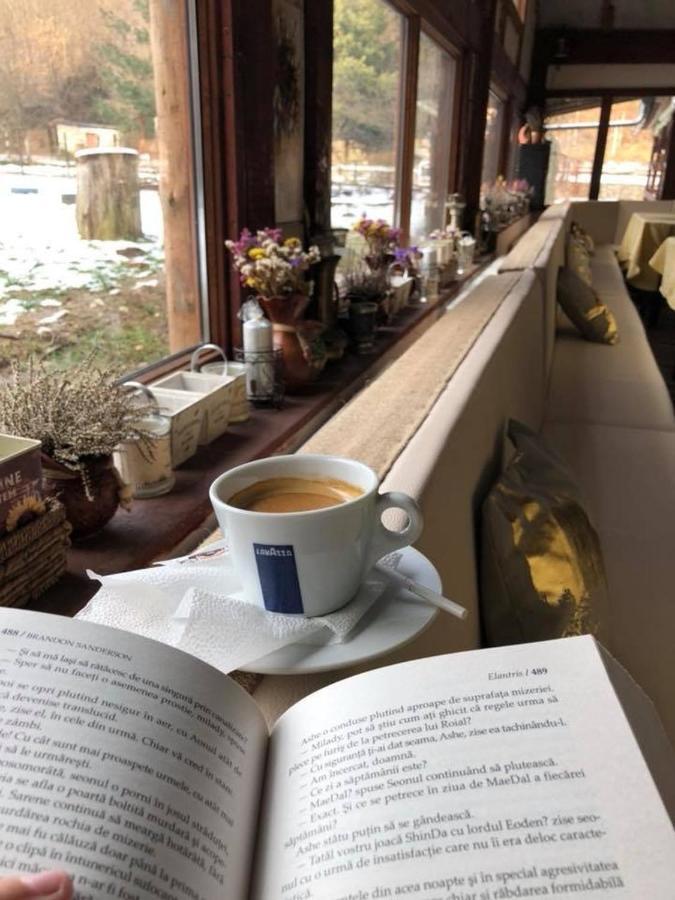 House In The Woods Bed & Breakfast Решица Екстериор снимка
