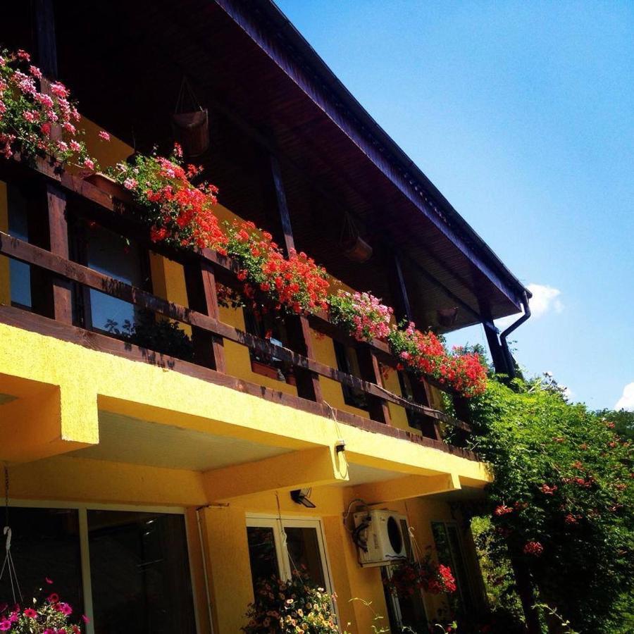 House In The Woods Bed & Breakfast Решица Екстериор снимка