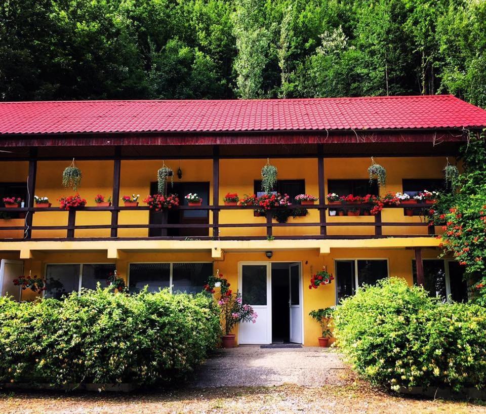 House In The Woods Bed & Breakfast Решица Екстериор снимка